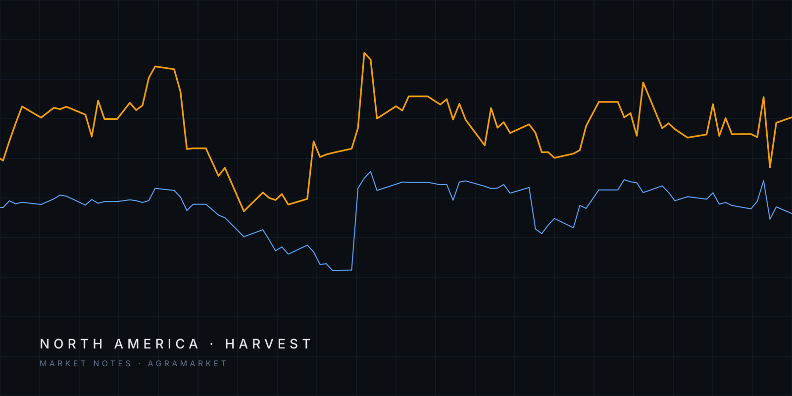Abstract lines tracing the US Gulf soybean and corn basis since June 2026.