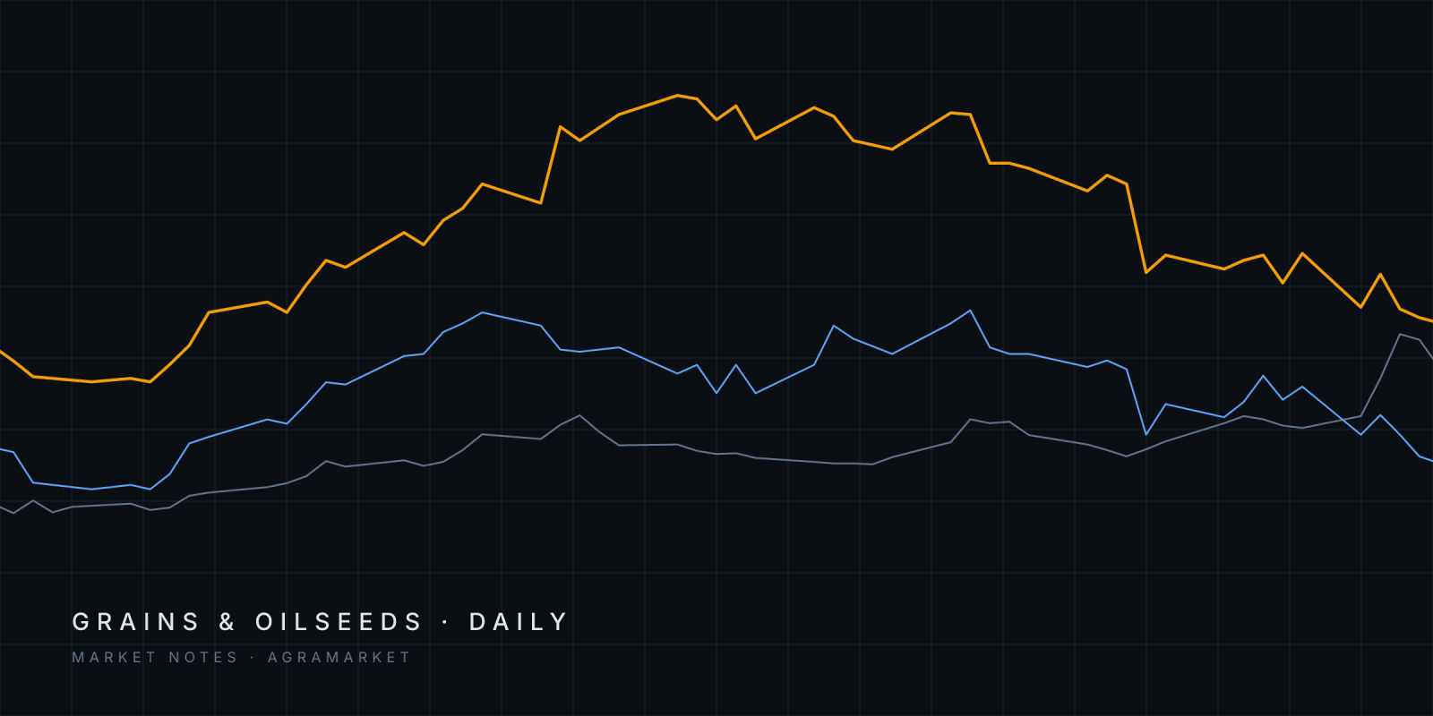 Abstract lines tracing US and Argentine corn landed in Europe and Euronext November corn futures since August 2026.