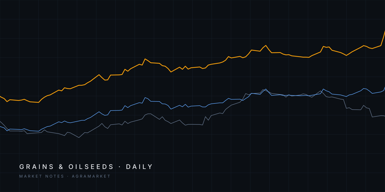 Abstract lines tracing Euronext November and March corn and CBOT December corn futures since June 2026.