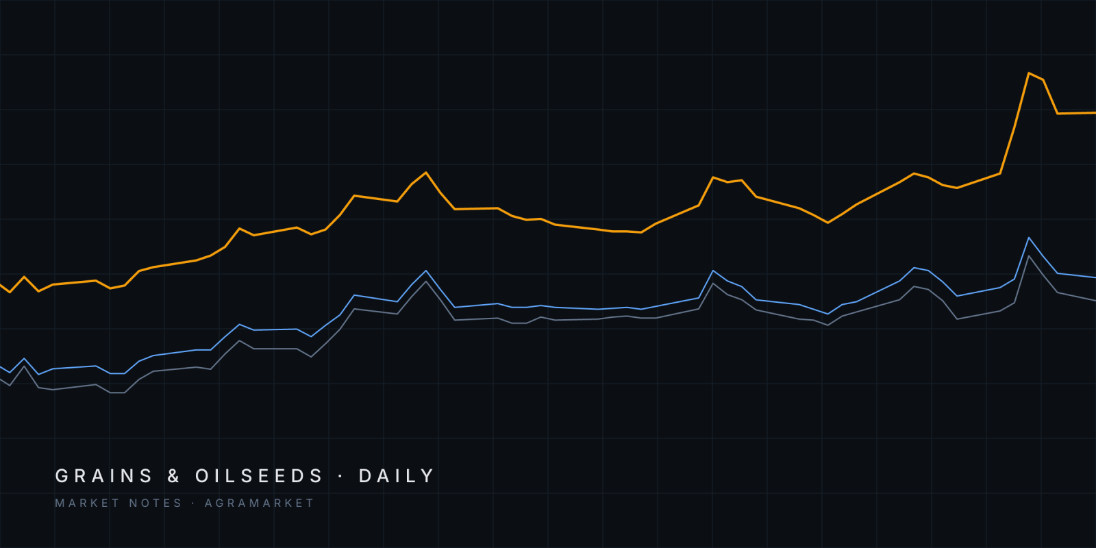 Abstract lines tracing Euronext November, March and June corn futures since August 2026.