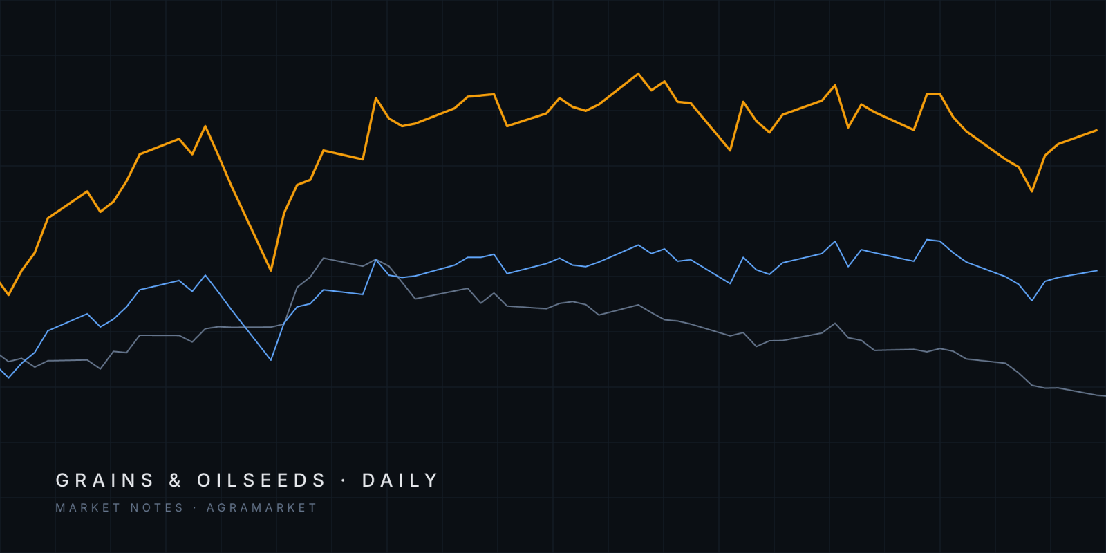 Abstract lines tracing Euronext February and May rapeseed and CBOT December SRW wheat futures since August 2026.