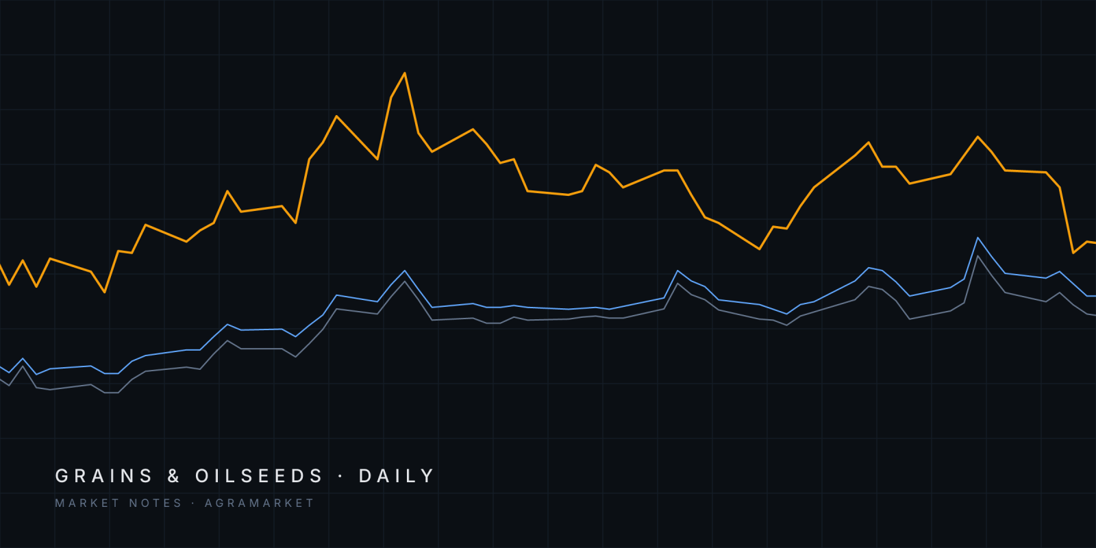 Abstract lines tracing Euronext December wheat and Euronext March and June corn futures since August 2026.